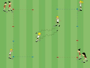 Feld-Diagramm: Finten-Star