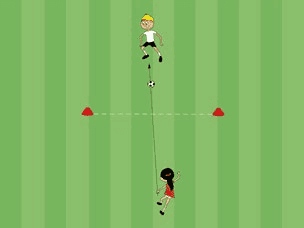 Feld-Diagramm: Tigerball – durch das Tor